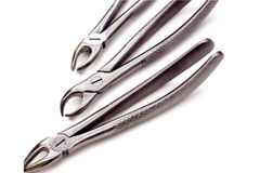 Ash Forceps